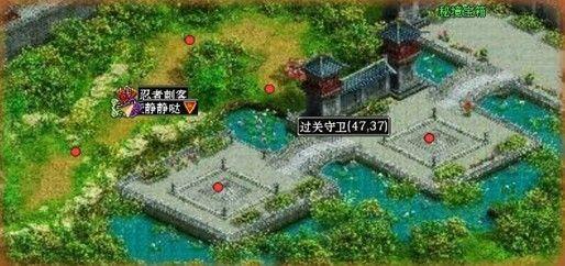 救援受困的老虎
